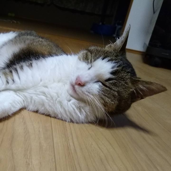 5f6fbbfb 8a3f 4bf8 be4a 44c0cba55dc4 1562756266154