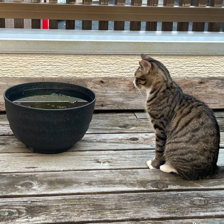 5f6ffef5 f956 46c8 a6fa b51e6d896c10 1765031179092