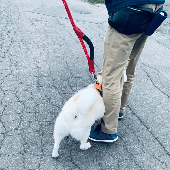 5f701954 dbd4 45f2 8566 4dfd66a0a5c1 1667631452311