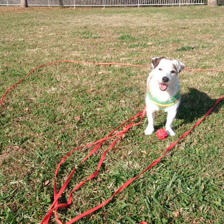 5f702522 fc5e 439e b3a3 a6378e18a705 1512601869061