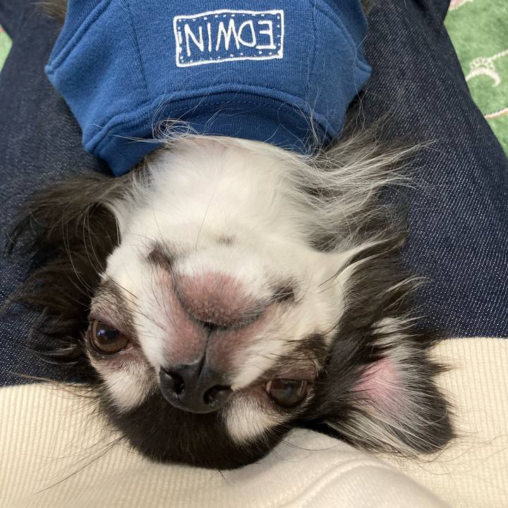 5f707b50 7128 46e2 9a15 574ae081c286 1667714321430