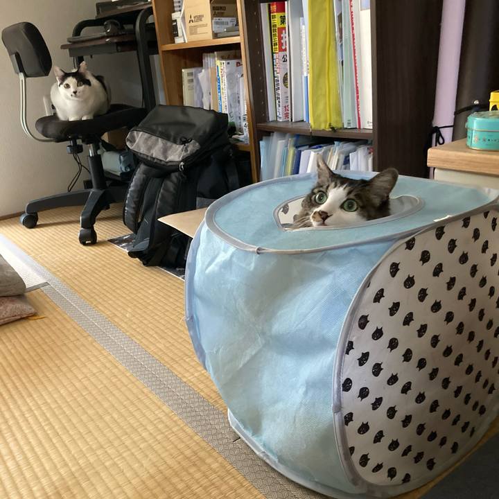 5f70e272 a8dc 4ac9 acdb cce3d712e95d 1757650963602