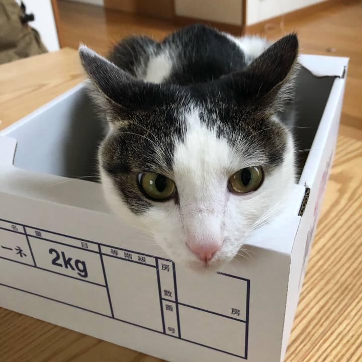 5f710aa2 f093 4e41 93c7 7fa490ca3b95 1599210372266