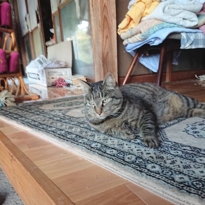 5f71300f a2df 4300 ac82 034ad0b8b715 1656107795042