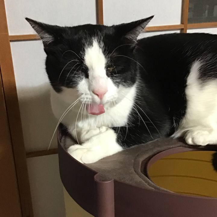 5f7132ca 178f 44c7 a94c 8431a2b30f14 1674047197586