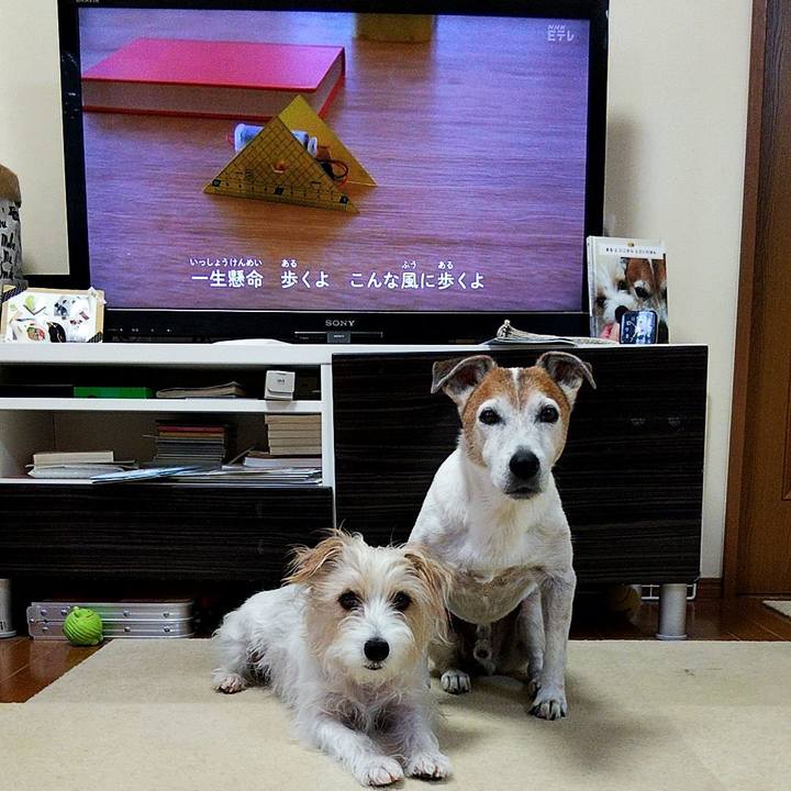 5f713b4a 0604 405b 9b2a 22687687ea8e 1567461751375