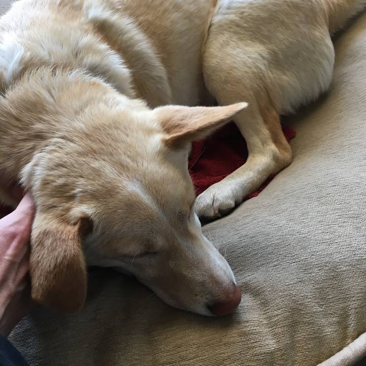 5f714c7e 5629 4f14 84ef 6ec587c8ff7c 1521247543454