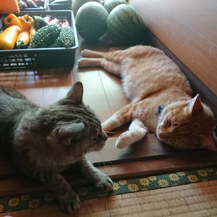 5f7160e6 5e45 4384 a3ad eff38f7ed3a9 1567923686941