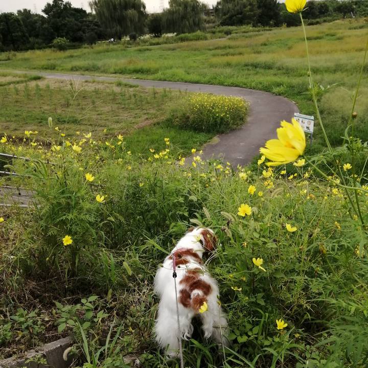 5f71a275 31ed 41b8 993d 60883782aa87 1631789804463