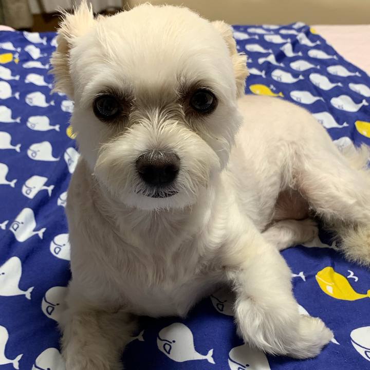 5f71b22f d271 41d2 bfa0 e86717fd859d 1567690396404