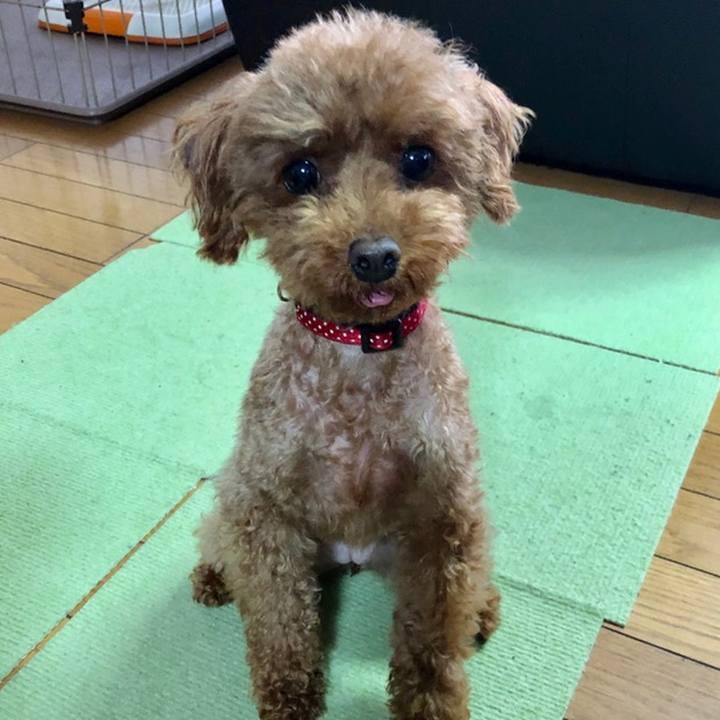 5f71c4bd 8166 4401 88a7 31a15bc66030 1559860237077