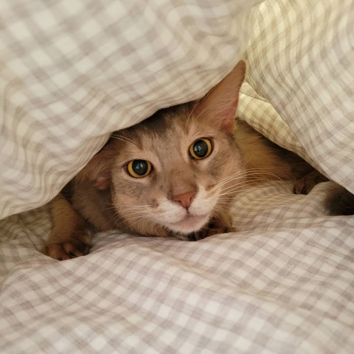 5f71d6ed f72a 4663 908f fa0414216d04 1665485349044