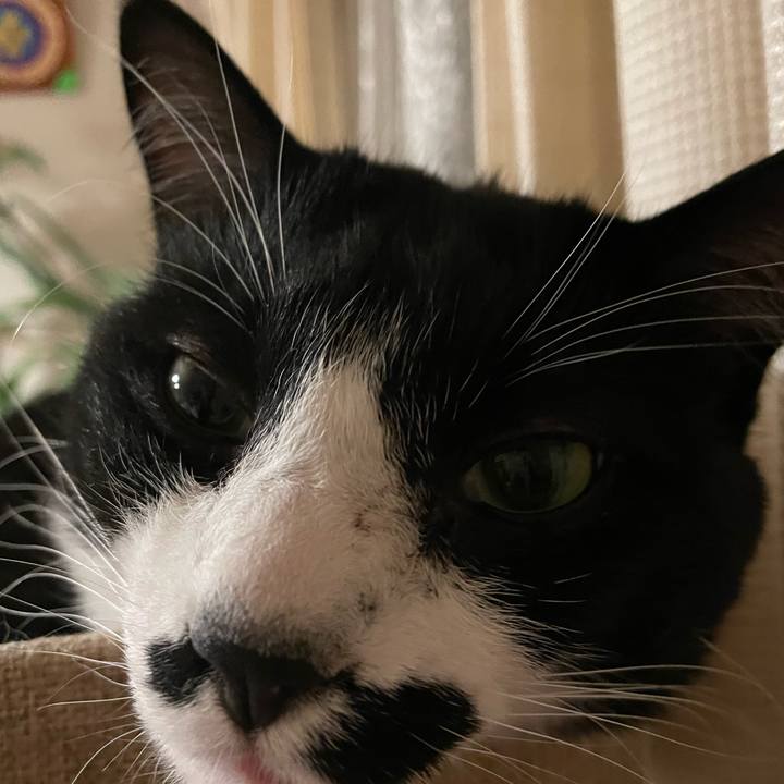 5f71d7ec 0d61 4fc0 b3b7 7556d3e3e2cb 1707485904409