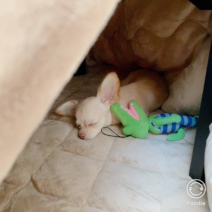 5f71da47 5173 441d 95ab f502c9aaa1b0 1604549106761