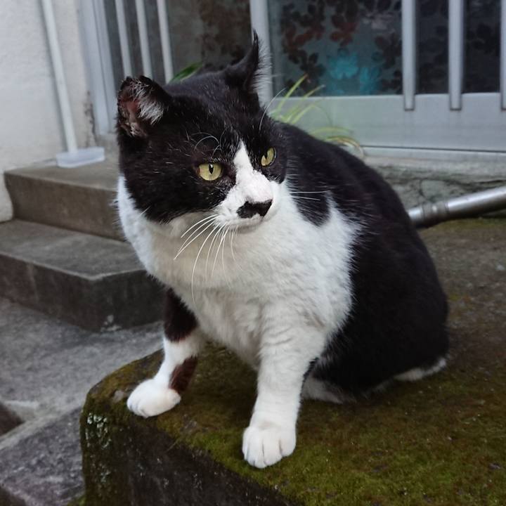 5f71fdb8 f582 4d57 8cb4 b9190cfe2191 1607239054434