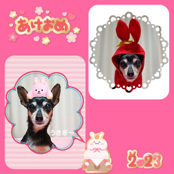 5f728a66 4022 49db 9087 ad4cbe47fb33 1672541456513