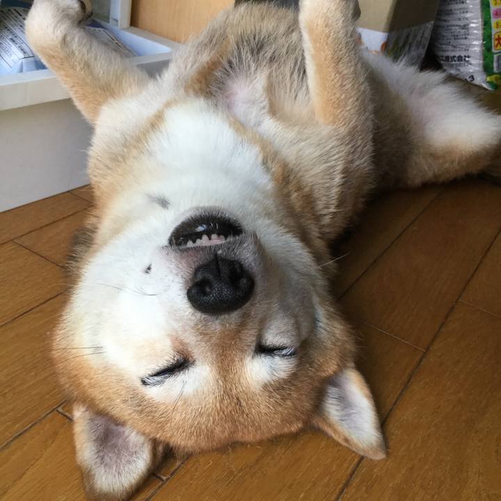 5f7292ee 43bb 492d b70a 2dea36c8f976 1626852414191