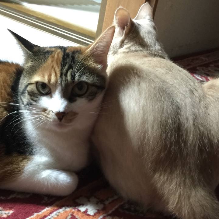 5f72bc78 bfc9 4204 8dfe 4f5cde856d5c 1667286360876