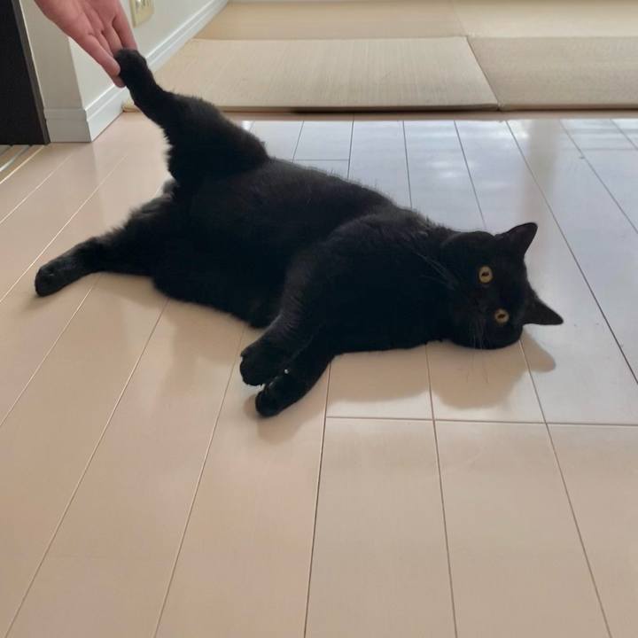 5f72d3ff e5a4 42b8 8768 ddb06b1b9167 1714034690259