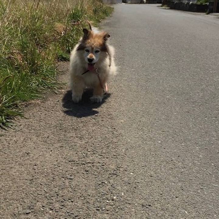 5f72f333 cd34 4bdf a484 47af42212211 1642032605244