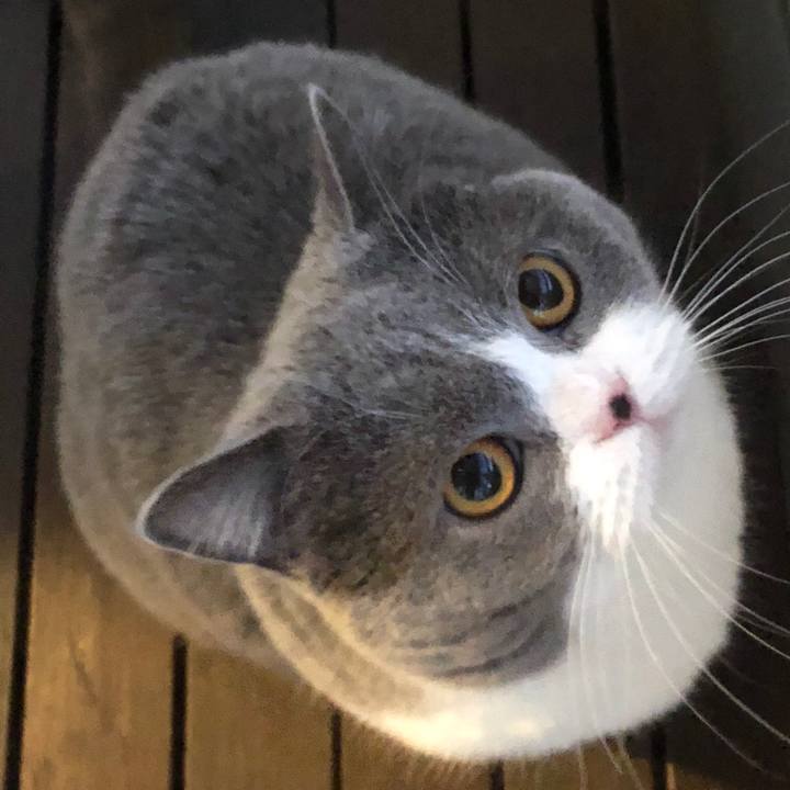 5f730654 9aeb 4848 8ae0 1c9b408b725c 1516875447926