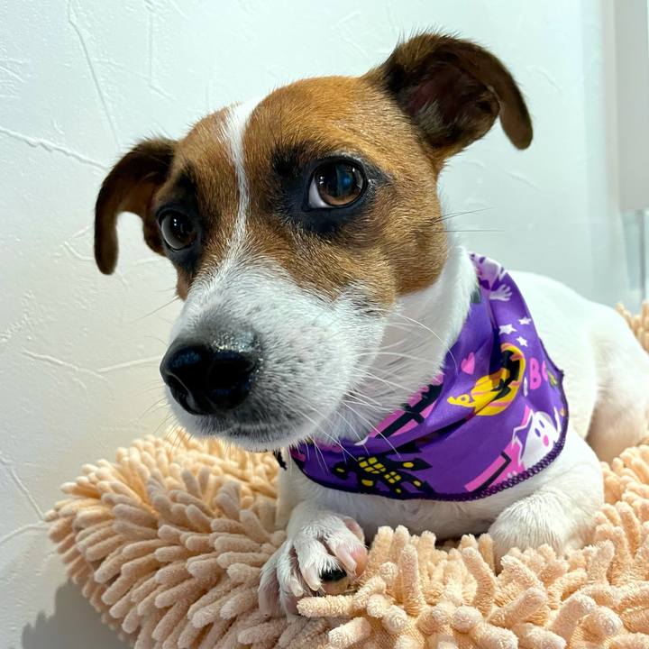 5f730b38 20ed 4f5d ad42 91a299909473 1634198898349