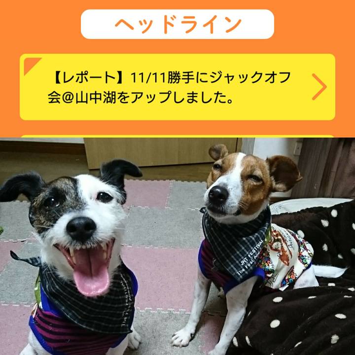 5f7312ff a9da 4066 9d57 4865f3aa6d6c 1544002101189