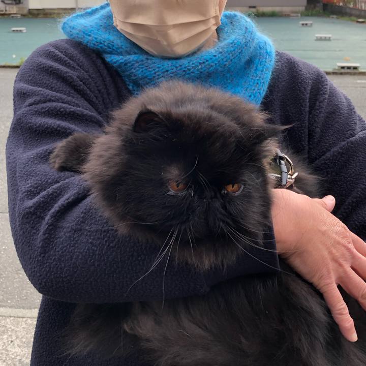 5f735e0d ba6d 4a0e 9866 b22d0bb8af10 1638686698710