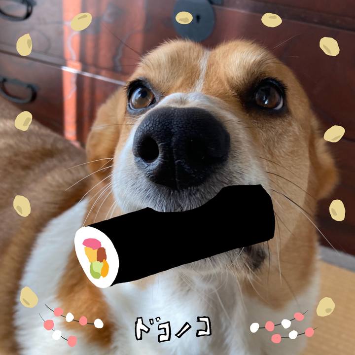 5f73bc2c d3cc 4b1f acbc 59deb6b6122f 1741136428016