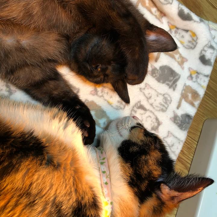 5f73bf2d d632 48a9 8101 1e801973f908 1614001312541