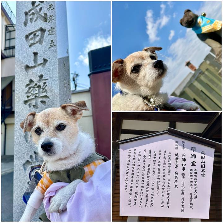 5f73ceca ea99 4fd2 9bae 1d9932eb5fea 1710658069664