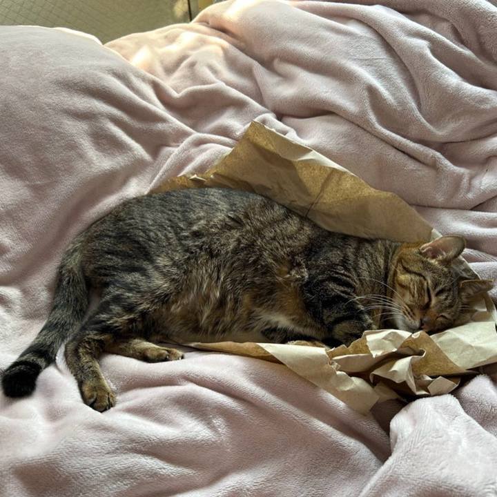 5f740a51 b1c7 46c8 941b d5b32dc86a6e 1743320501535