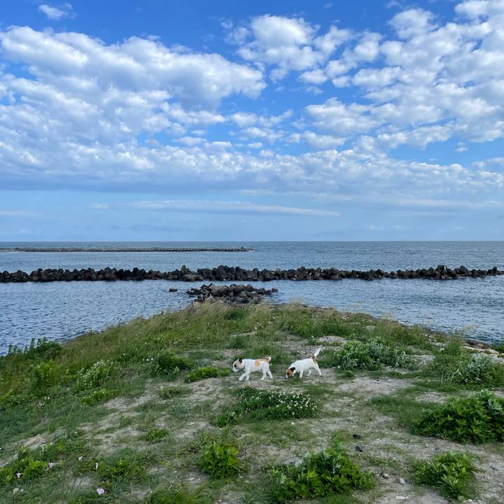 5f7465f0 46be 48ef 8658 a43135c3da8c 1685834365281