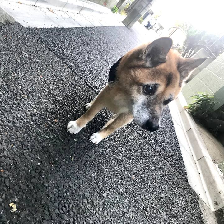 5f7473d6 6838 4774 a2d6 765d3f419493 1545432398513