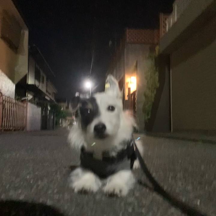 5f747ee2 72e2 4a7e 8792 00cd06fa64d3 1731068168468