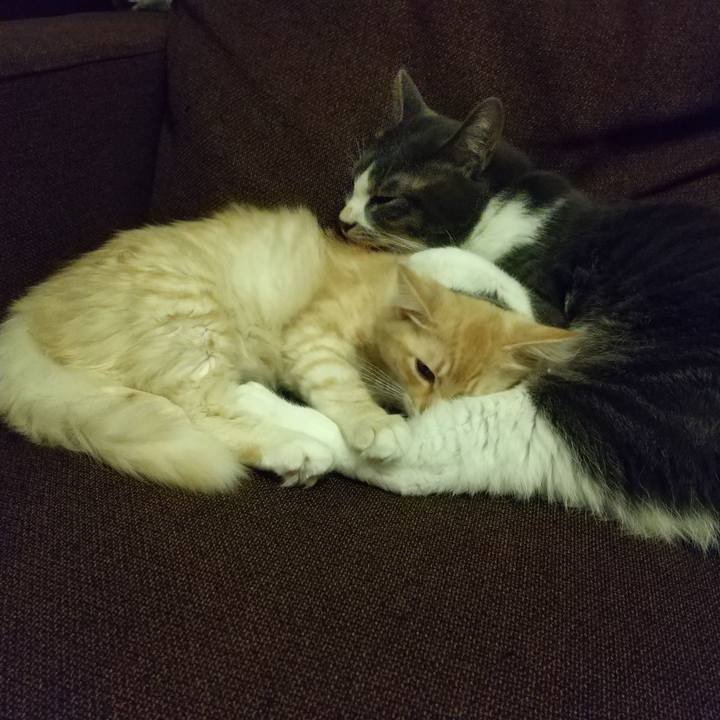 5f7482ed 1886 4964 8fa2 d907ed6eb5eb 1609425342825