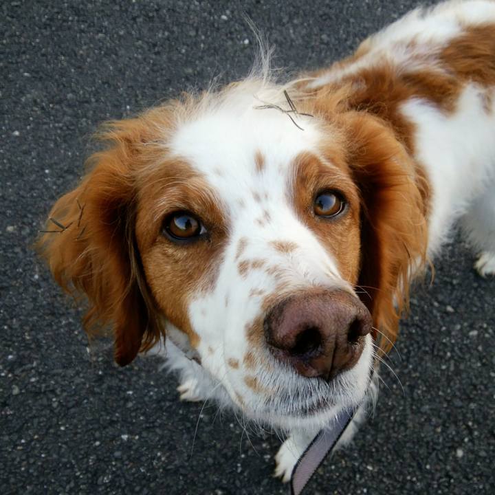 5f74aaa3 f75d 4db2 b9b4 ea68f5693f32 1545177270985