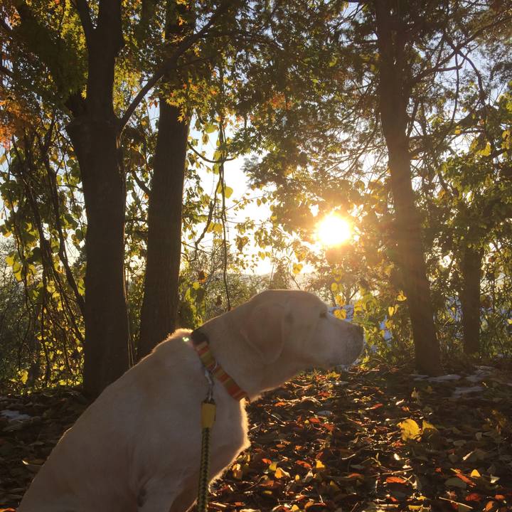 5f74b1cd df19 4ec4 baae 27d09af978cf 1511323947984