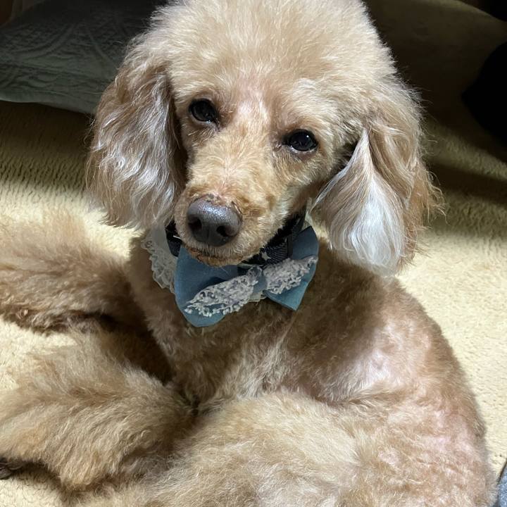 5f74d888 956e 45b1 907d ba5acd671a05 1713227451185