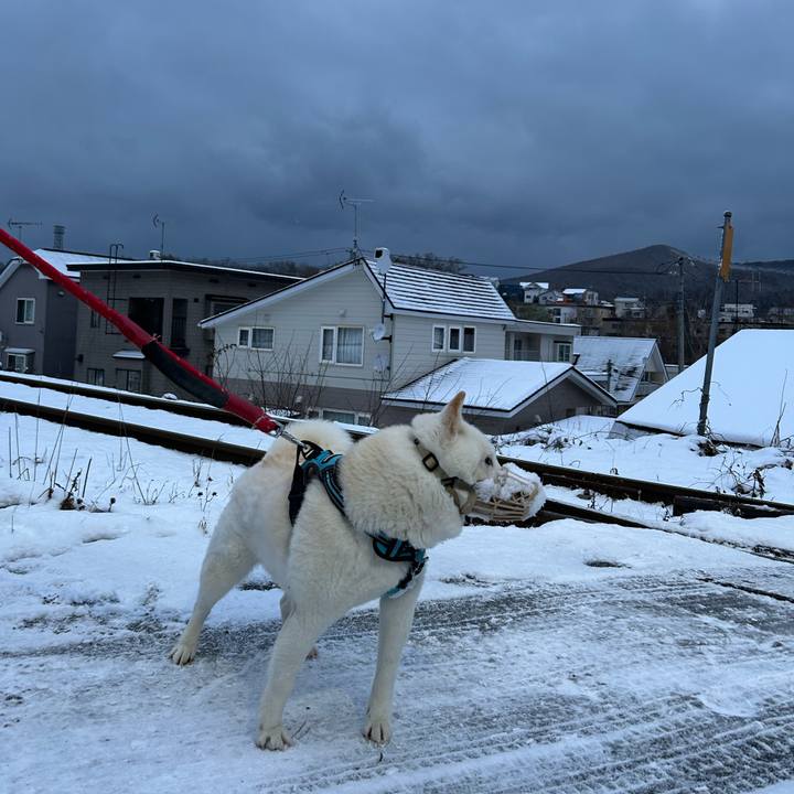 5f750a05 4b72 427a b8c8 c78984a7f363 1733004088441