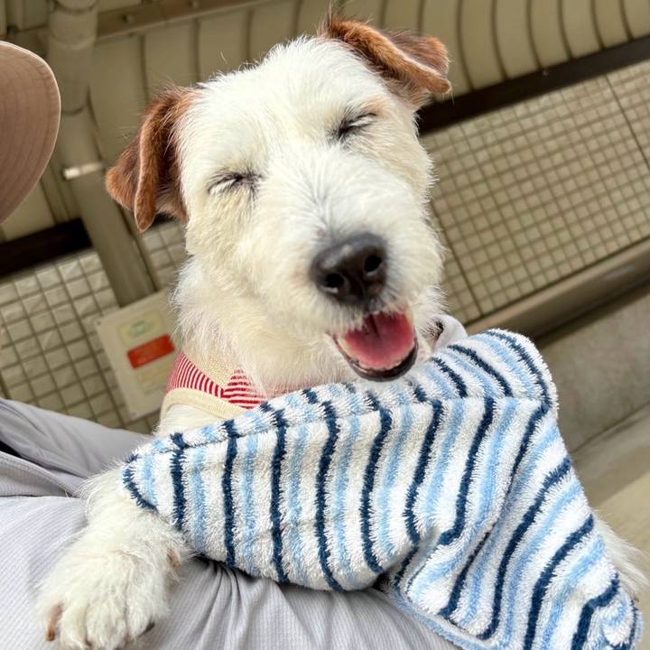 5f750c6e 67e8 4ceb bbda 0d49459448f0 1747798595458