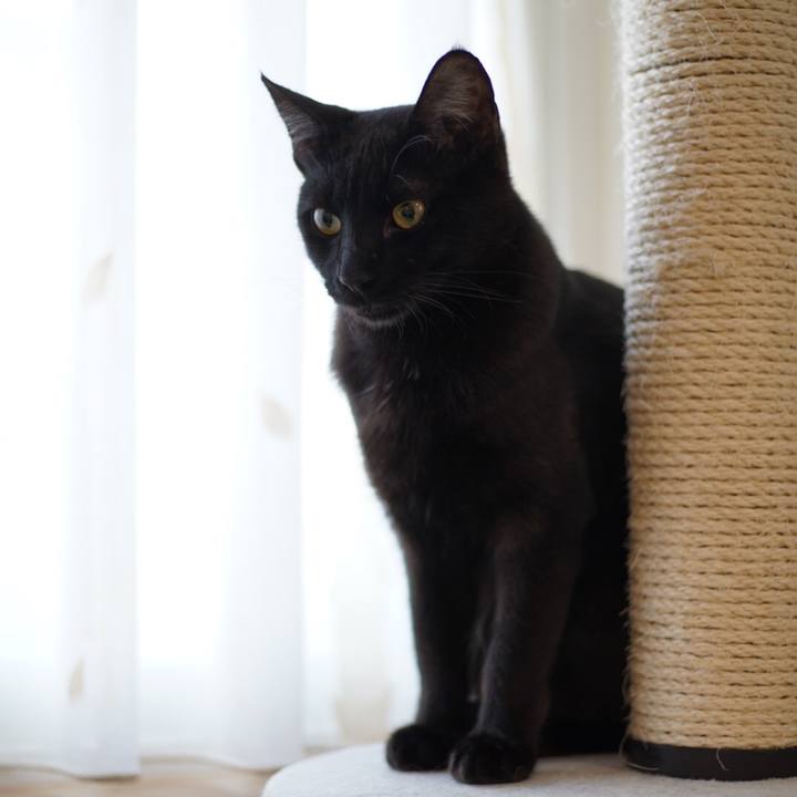 5f7511e7 a3aa 4cea 9f1f 589be79c9876 1514364104513