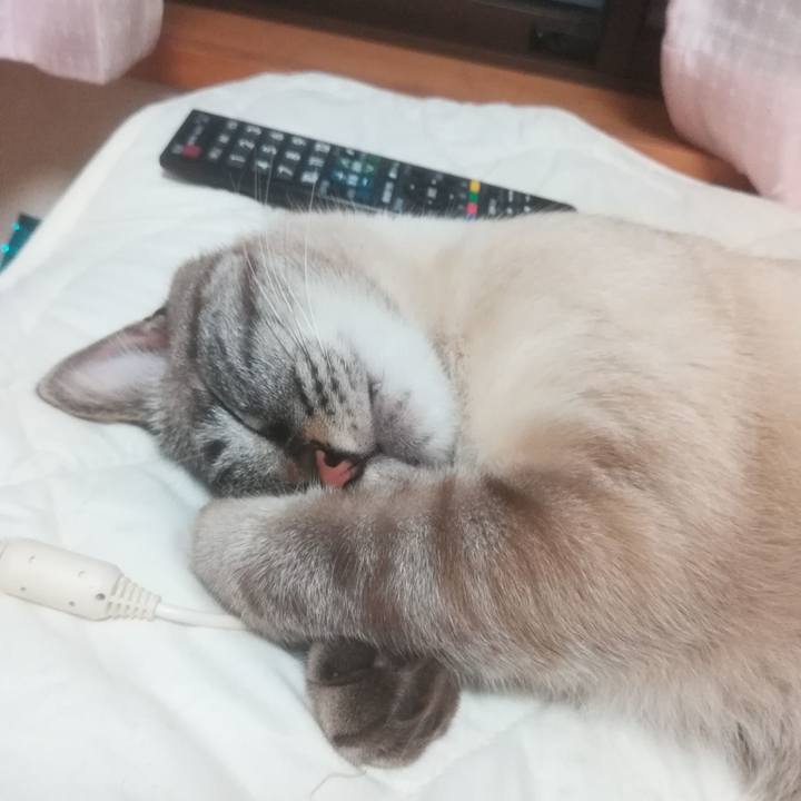 5f751206 f730 4c32 a241 c9a8e811b328 1527244653754