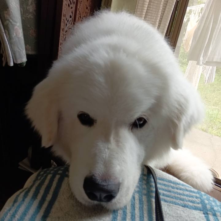 5f753e32 9165 42b8 9dd5 a0eaf87dcec8 1717475448929