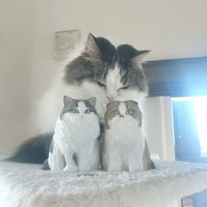 5f75689f 26f1 43e6 9ec7 39895850fb65 1774393241072