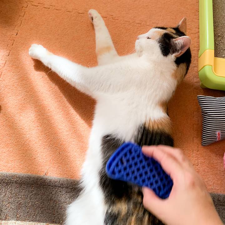 5f757607 5407 43ae 92b7 7cd814b7ea70 1573352990446