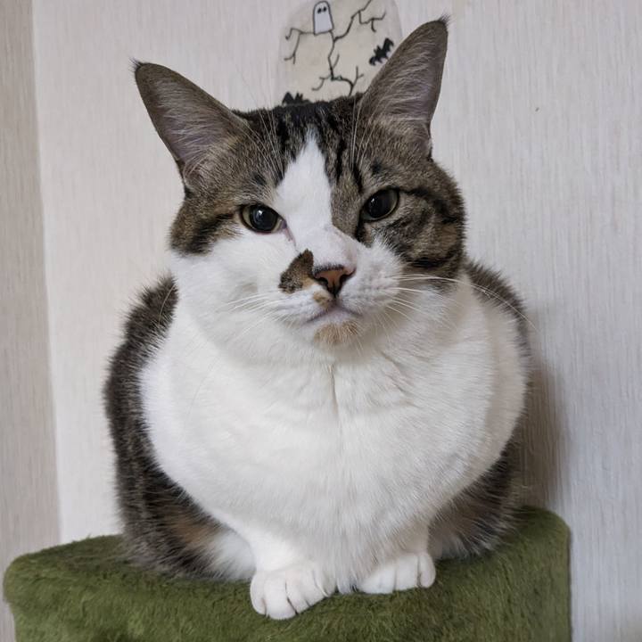 5f759efa 6663 4dce 99a6 227f4b0fb18f 1699658000093