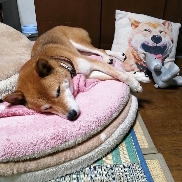 5f75d936 857a 4b7f ac9c 19bf20ca30b9 1596197451531