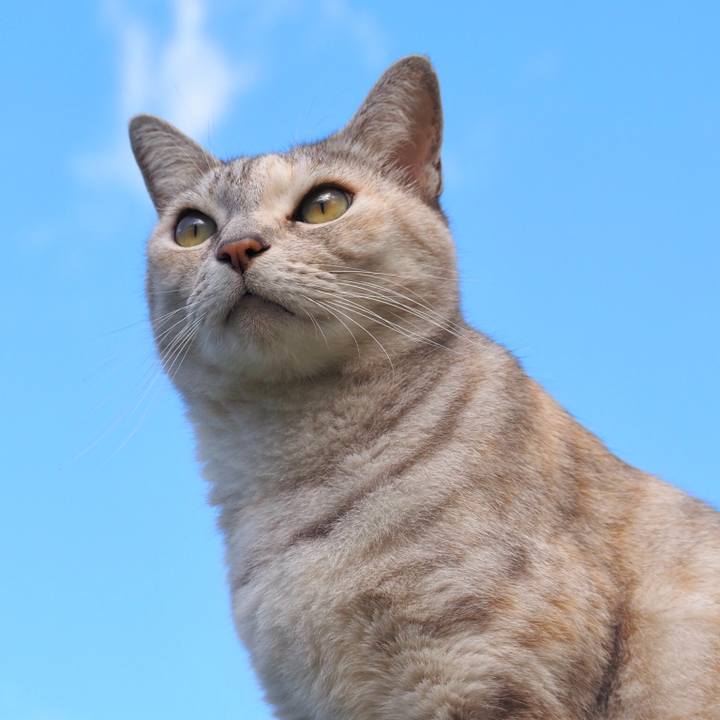 5f75effc bfc7 4291 b5ed 88dc0d68183b 1765799363414