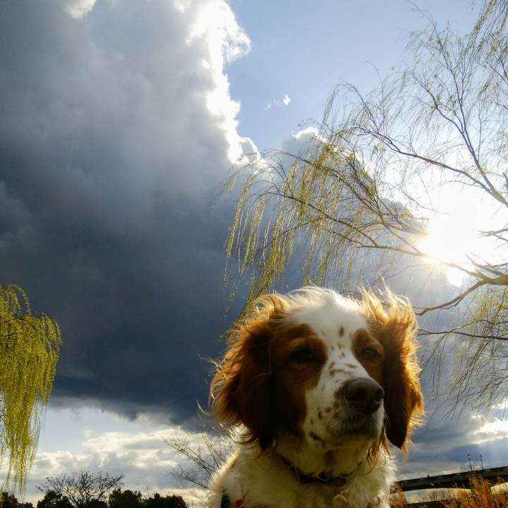 5f7612e7 095b 4bef a3b0 b3ca9cf59579 1552723881492